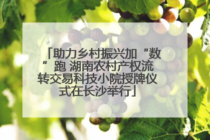 助力乡村振兴加“数”跑 湖南农村产权流转交易科技小院授牌仪式在长沙举行