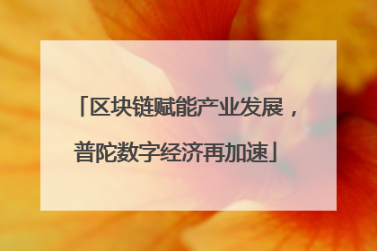 区块链赋能产业发展，普陀数字经济再加速