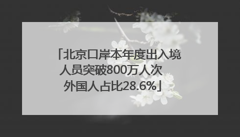北京口岸本年度出入境人员突破800万人次 外国人占比28.6%