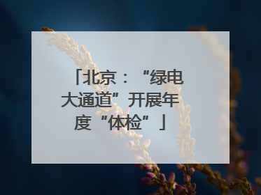 北京：“绿电大通道”开展年度“体检”