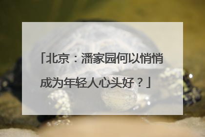北京：潘家园何以悄悄成为年轻人心头好？
