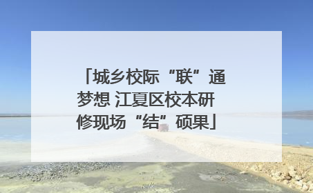 城乡校际“联”通梦想 江夏区校本研修现场“结”硕果