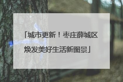 城市更新！枣庄薛城区焕发美好生活新图景