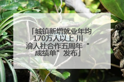 城镇新增就业年均170万人以上 川渝人社合作五周年“成绩单”发布