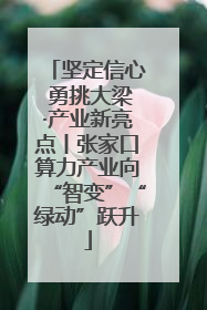 坚定信心 勇挑大梁·产业新亮点丨张家口算力产业向“智变”“绿动”跃升