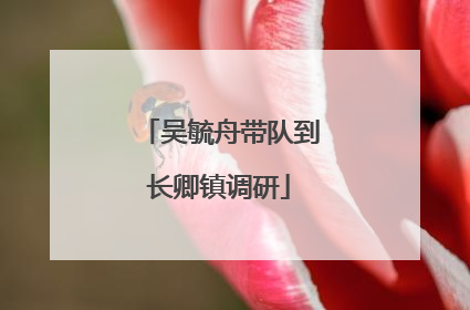 吴毓舟带队到长卿镇调研