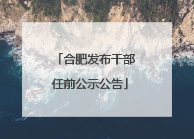 合肥发布干部任前公示公告