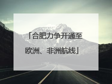 合肥力争开通至欧洲、非洲航线