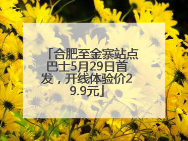 合肥至金寨站点巴士5月29日首发，开线体验价29.9元