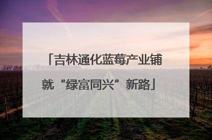 吉林通化蓝莓产业铺就“绿富同兴”新路
