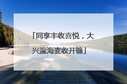 同享丰收喜悦，大兴瀛海麦收开镰