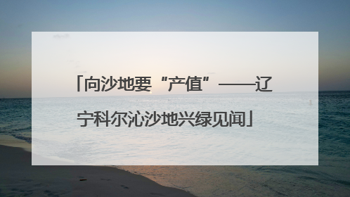 向沙地要“产值”——辽宁科尔沁沙地兴绿见闻