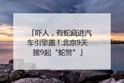 吓人，有蛇藏进汽车引擎盖！北京9天接9起“蛇警”