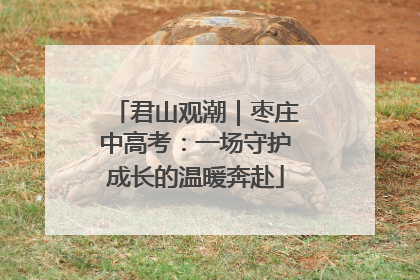 君山观潮｜枣庄中高考：一场守护成长的温暖奔赴