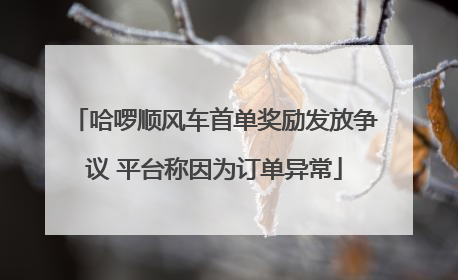 哈啰顺风车首单奖励发放争议 平台称因为订单异常