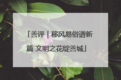 善评｜移风易俗谱新篇 文明之花绽善城