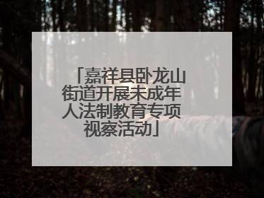 嘉祥县卧龙山街道开展未成年人法制教育专项视察活动