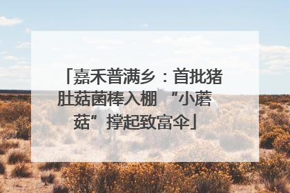 嘉禾普满乡：首批猪肚菇菌棒入棚 “小蘑菇”撑起致富伞