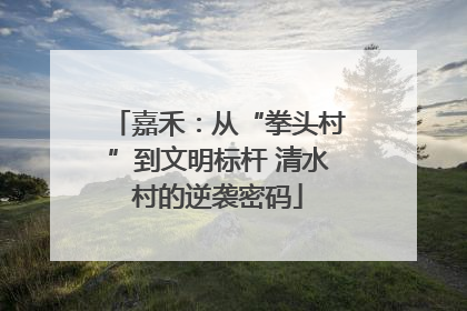嘉禾：从“拳头村”到文明标杆 清水村的逆袭密码