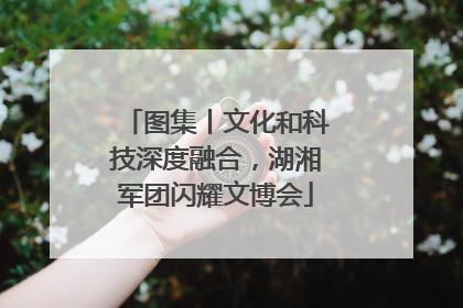 图集丨文化和科技深度融合，湖湘军团闪耀文博会