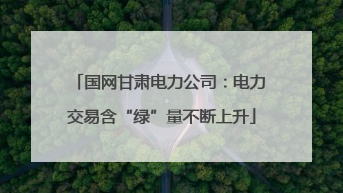 国网甘肃电力公司：电力交易含“绿”量不断上升