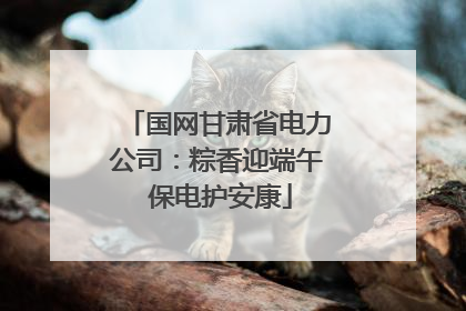 国网甘肃省电力公司：粽香迎端午 保电护安康