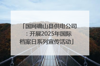 国网确山县供电公司：开展2025年国际档案日系列宣传活动