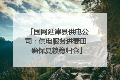 国网延津县供电公司：供电服务进麦田 确保夏粮稳归仓