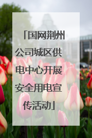国网荆州公司城区供电中心开展安全用电宣传活动