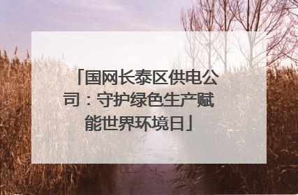 国网长泰区供电公司：守护绿色生产赋能世界环境日