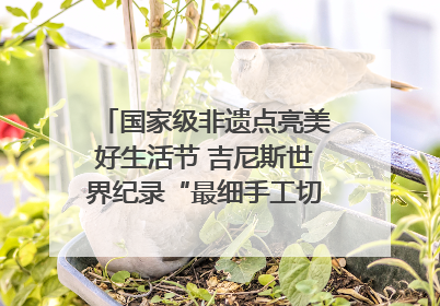 国家级非遗点亮美好生活节 吉尼斯世界纪录“最细手工切面”邀您来品！｜美好生活有“盐”味