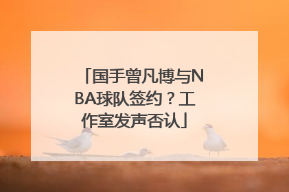 国手曾凡博与NBA球队签约？工作室发声否认