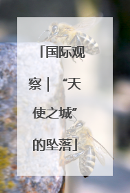 国际观察｜“天使之城”的坠落