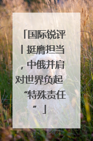 国际锐评丨挺膺担当，中俄并肩对世界负起“特殊责任”