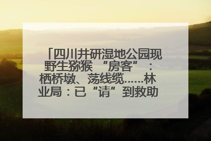 四川井研湿地公园现野生猕猴 “房客”：栖桥墩、荡线缆……林业局：已“请”到救助站，将放归自然