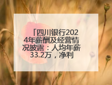 四川银行2024年薪酬及经营情况披露：人均年薪33.2万，净利润突破20亿
