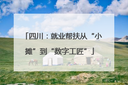 四川：就业帮扶从“小摊”到“数字工匠”