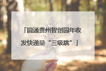 圆通贵州智创园年收发快递量“三级跳”