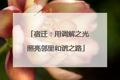 宿迁：用调解之光照亮邻里和谐之路