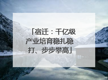 宿迁：千亿级产业培育稳扎稳打、步步攀高