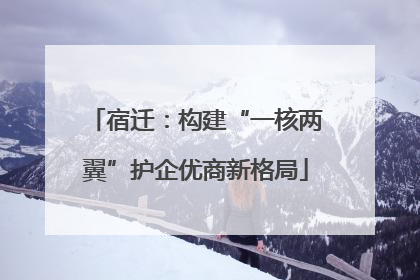 宿迁：构建“一核两翼”护企优商新格局