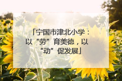 宁国市津北小学：以“劳”育美德，以“动”促发展
