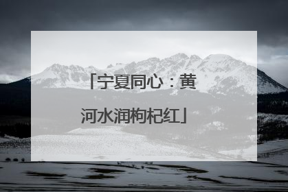 宁夏同心：黄河水润枸杞红