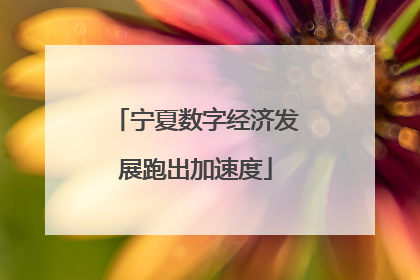 宁夏数字经济发展跑出加速度