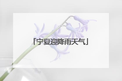 宁夏迎降雨天气