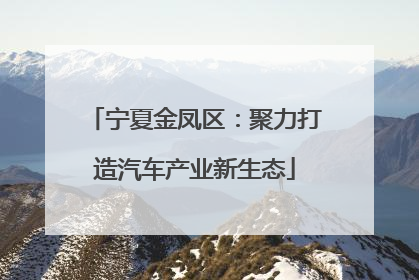 宁夏金凤区：聚力打造汽车产业新生态