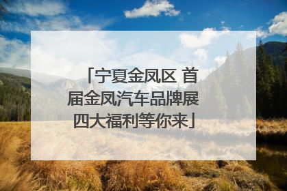 宁夏金凤区 首届金凤汽车品牌展四大福利等你来