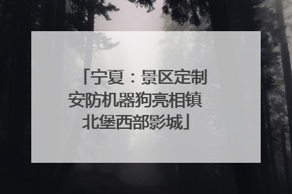 宁夏：景区定制安防机器狗亮相镇北堡西部影城