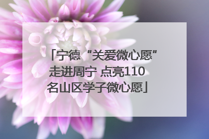 宁德“关爱微心愿”走进周宁 点亮110名山区学子微心愿