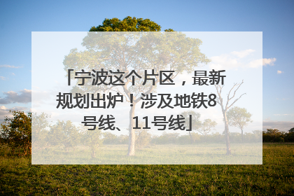 宁波这个片区，最新规划出炉！涉及地铁8号线、11号线